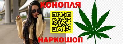 гидропоника Беслан