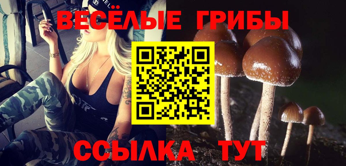 Псилоцибиновые грибы прущие грибы  Чусовой 