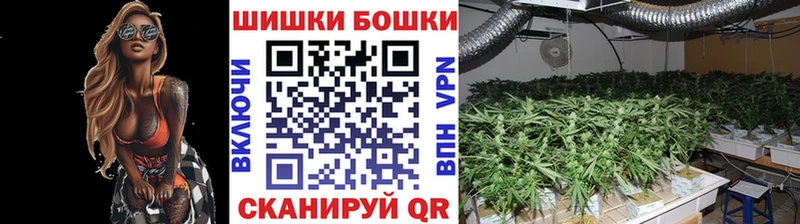 Конопля гибрид Чусовой